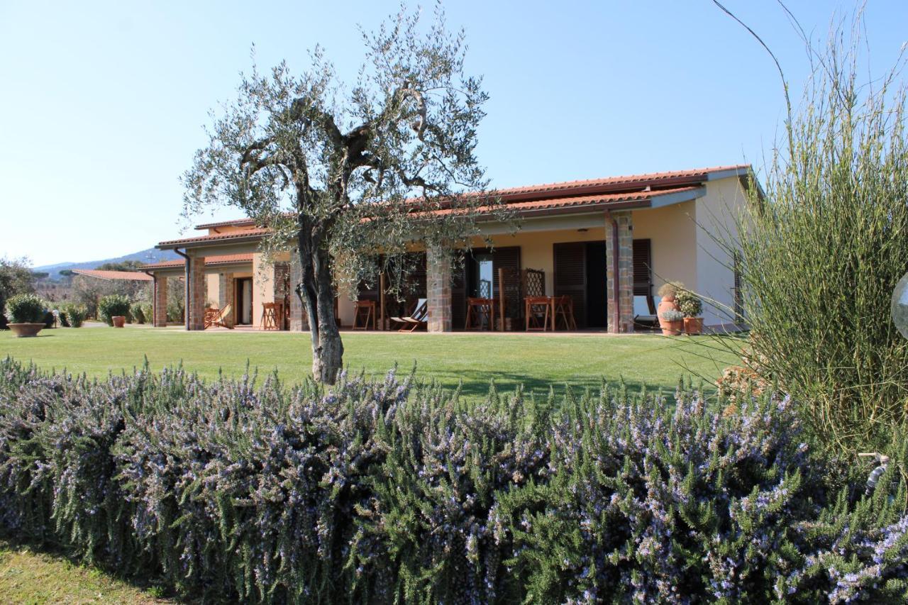 Agriturismo Il Vecchio Mandorlo Castiglione della Pescaia Exterior photo